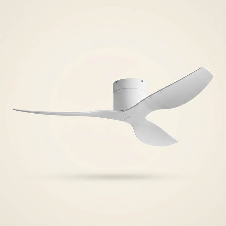 Ventilatore a Soffitto Silenzioso con Telecomando – Design Moderno