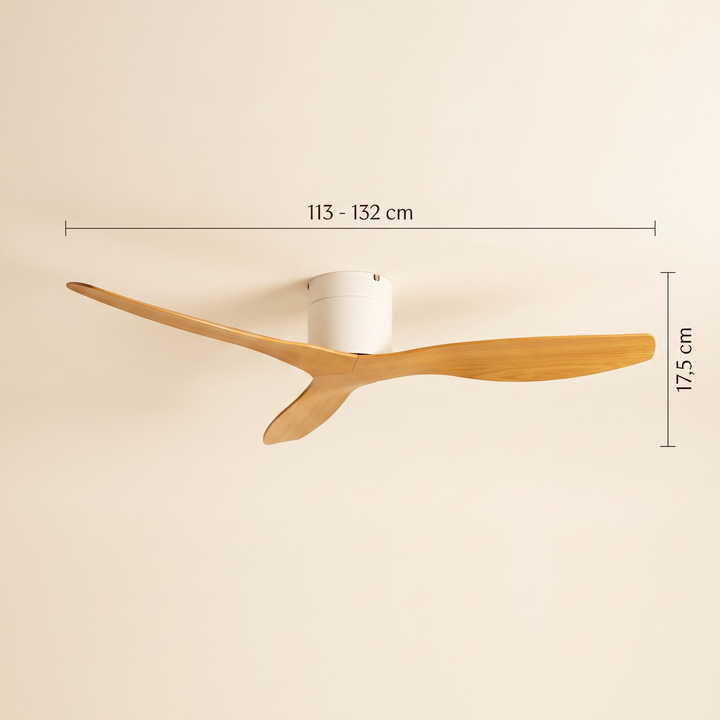 Ventilatore a Soffitto Silenzioso con Telecomando – Design Moderno